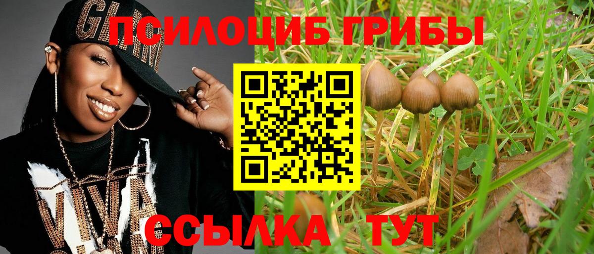 Бор  Галлюциногенные грибы GOLDEN TEACHER  Вход с VPN  Галлюциногенные грибы Cubensis 