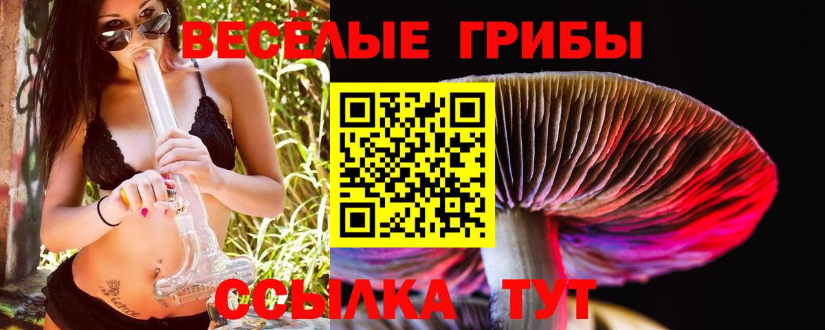 Галлюциногенные грибы мицелий Бор